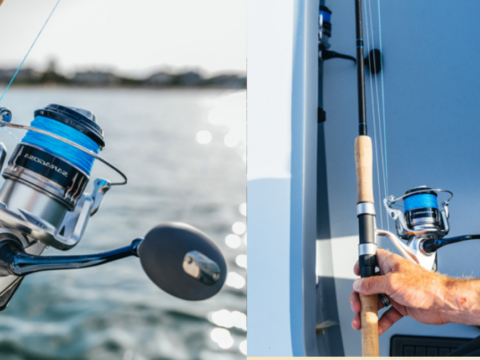Mulinello Da Pesca Shimano Saragosa SW A - Per Acque Salate, Ratio Alto, Drag Fluido