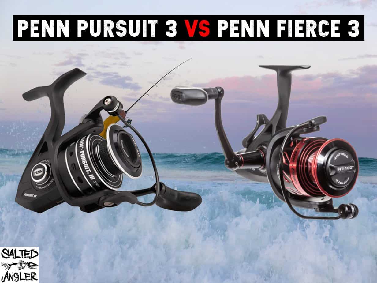 Penn Pursuit 3 vs Fierce 3 &ndash; Which Reel Is Better?