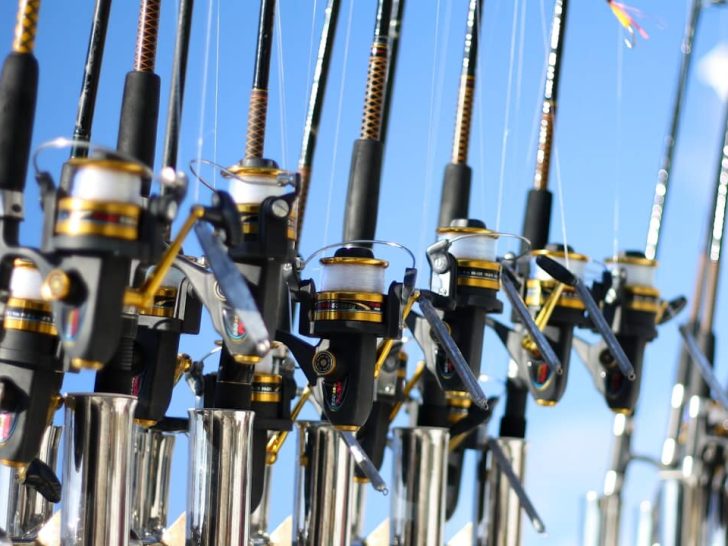 micro fishing rod carbon